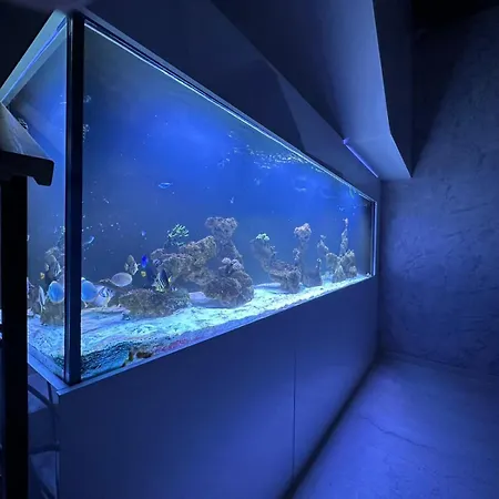 Апартаменты Vimar