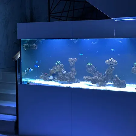 Vimar Апартаменты *